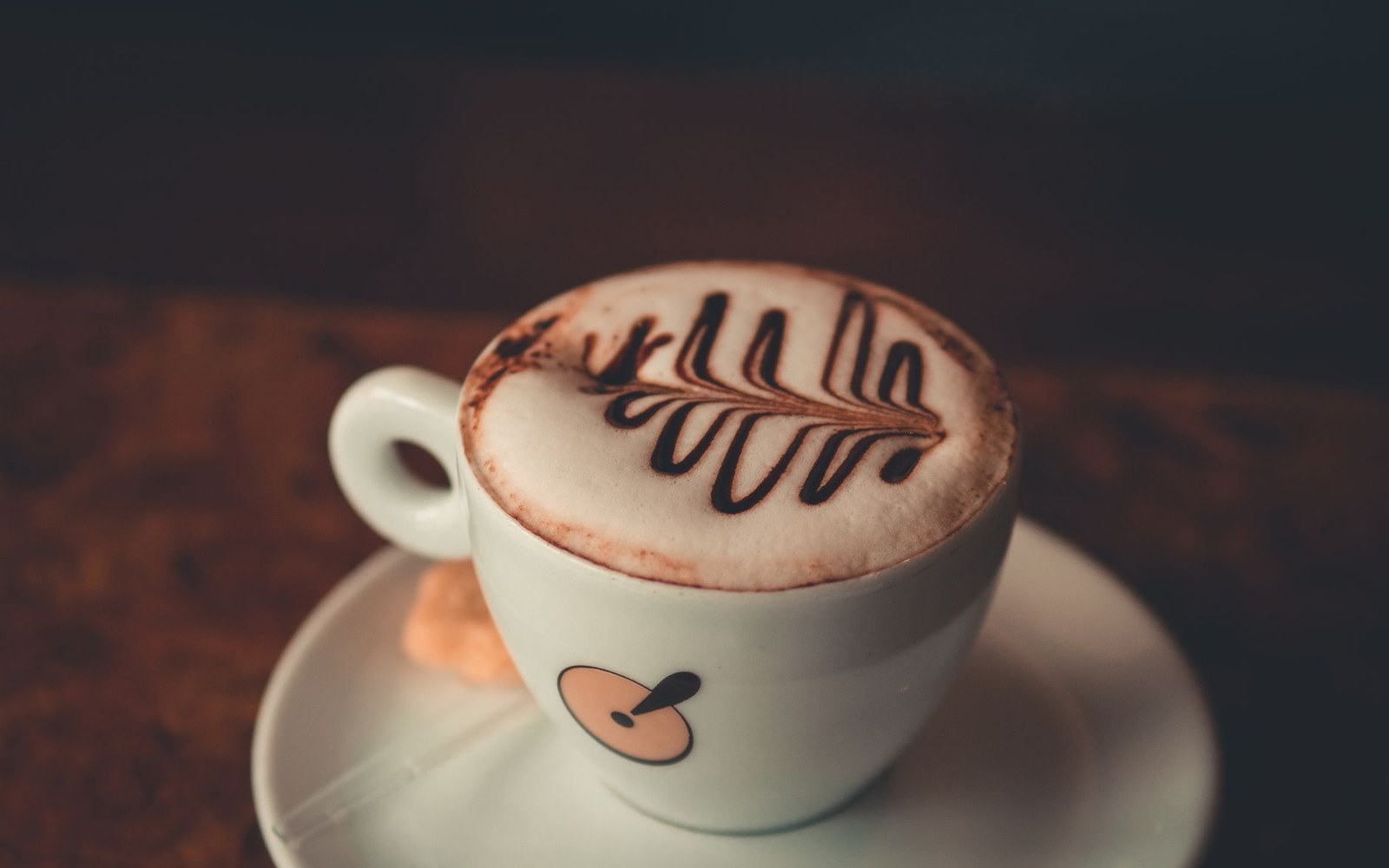 A cup of chocolate on a saucer, finished with feathered latte art